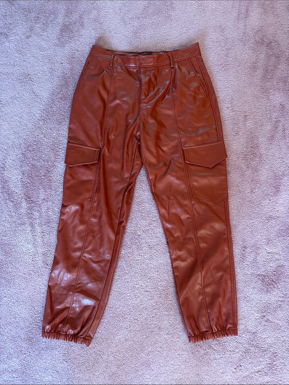 Rust Brown Faux Leather Pants Shinestar Size XL
